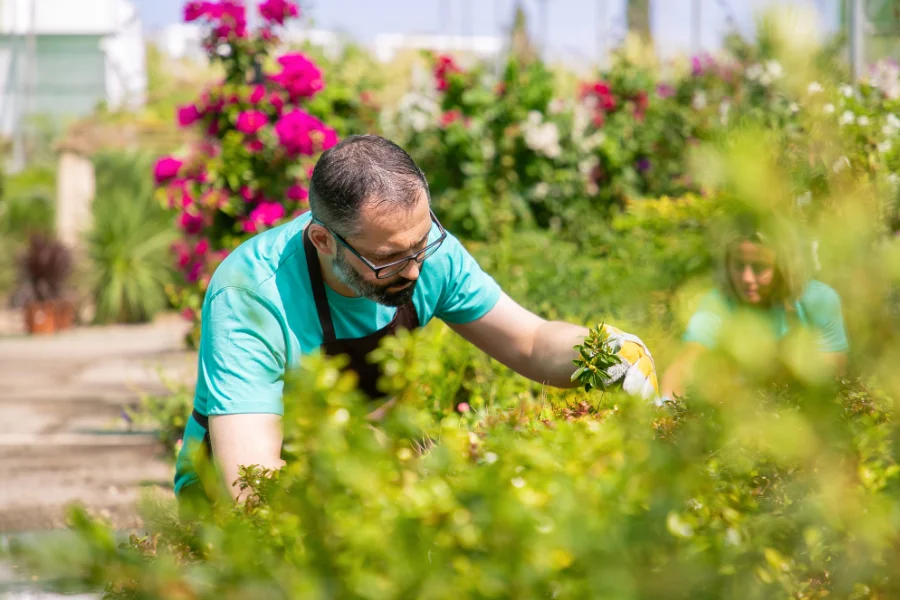 Jardinier prenant soin des plantes dans un jardin fleuri